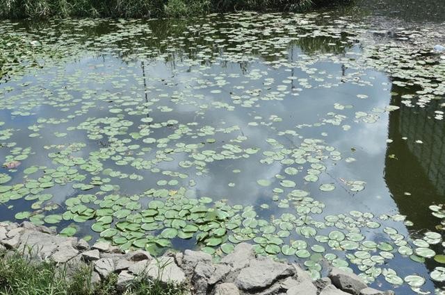 濾光片 未加CPL濾鏡反光效果