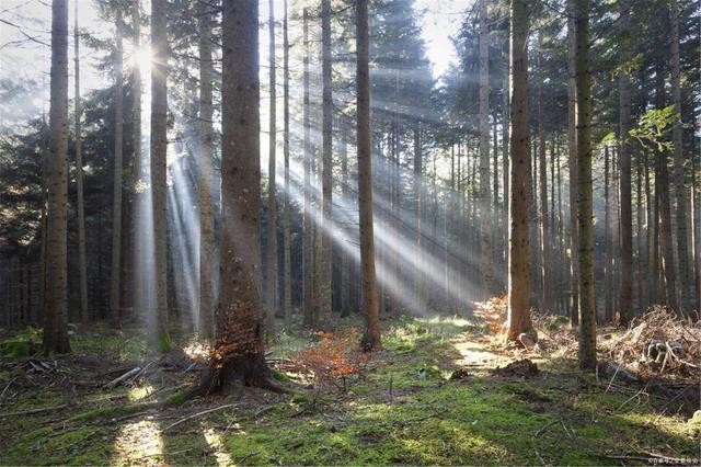 什么是負折射率？何為負折射率？