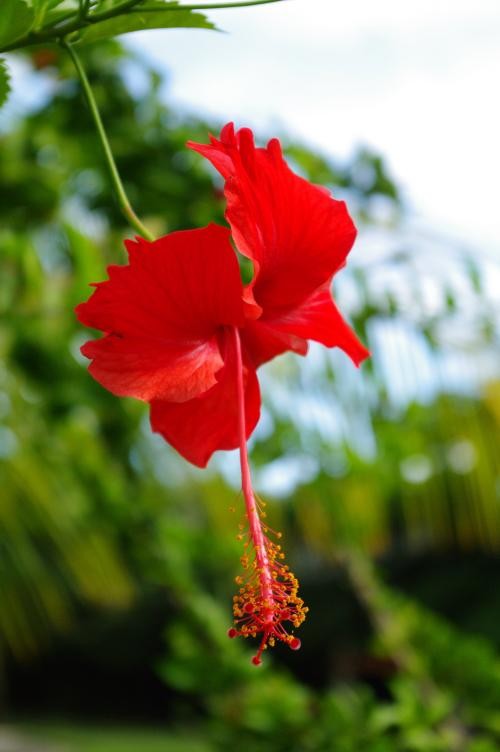 濾光片 享受數(shù)碼的樂趣賓得K-7數(shù)碼濾光鏡實拍(2)