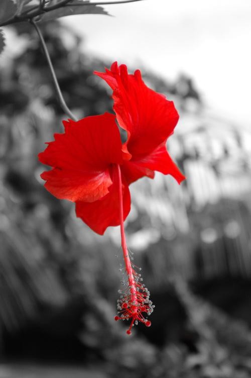 濾光片 享受數(shù)碼的樂趣賓得K-7數(shù)碼濾光鏡實拍(2)