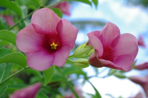 濾光片 享受數(shù)碼的樂趣賓得K-7數(shù)碼濾光鏡實拍(2)