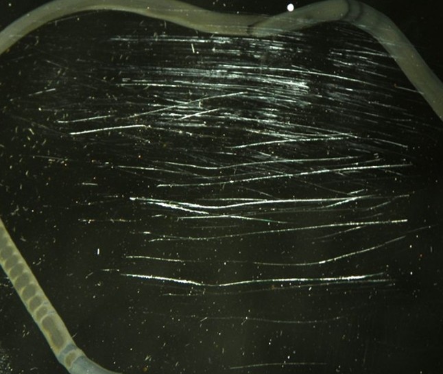 如何去掉透明有機(jī)玻璃制品的細(xì)小劃痕？