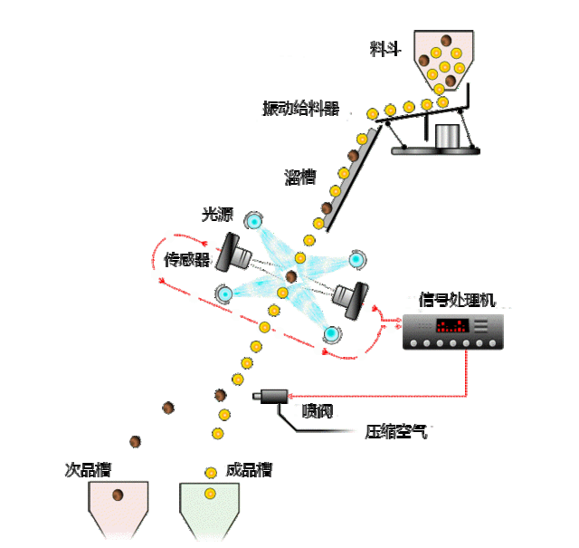 色選機工作原理動態(tài)圖 色選機工作原理動態(tài)圖