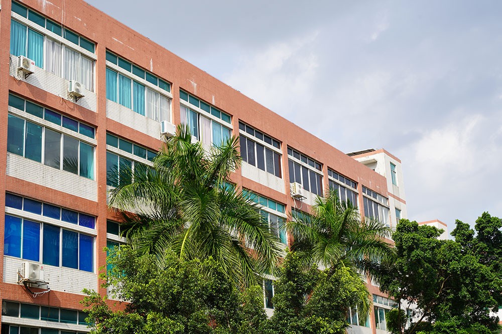 破冰夏日，聚力前行——員工趣味運動會全記錄