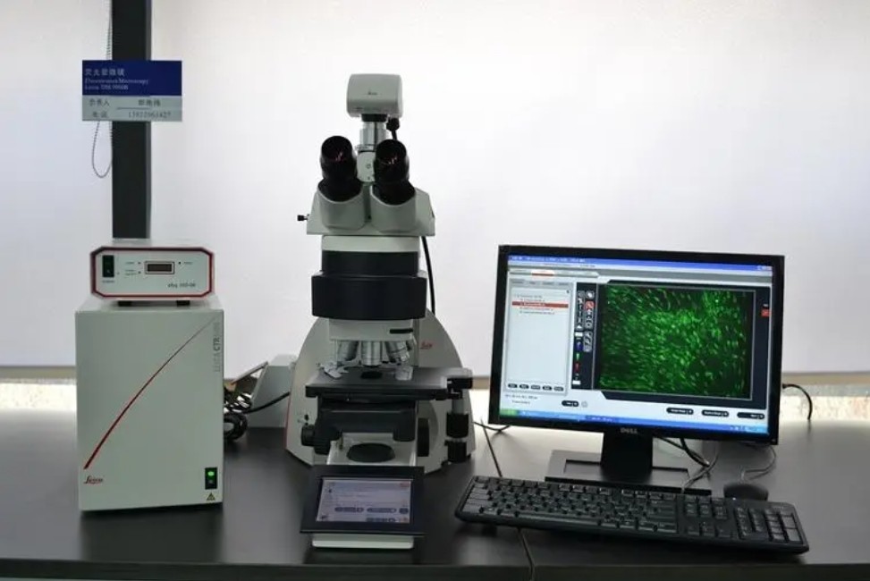 濾光片是如何決定顯微鏡成像性能的？