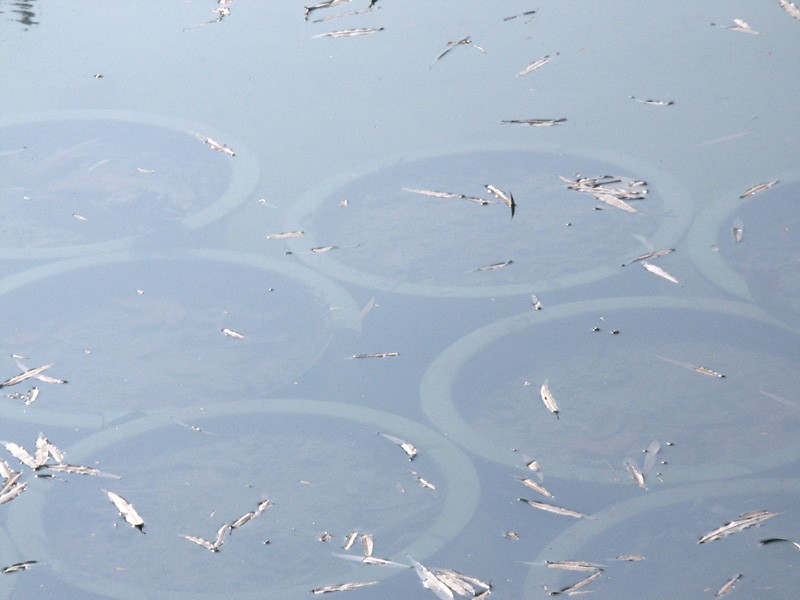 濾光片 偏振鏡光學(xué)原理和在機器視覺中的應(yīng)用