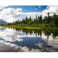 電磁波、紫外線和紅外線